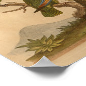 rode rode rode projects afdrukken poster (Hoek)