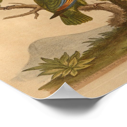  rode rode rode projects afdrukken poster (Hoek)