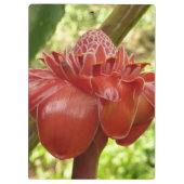 Rode rommel met tropische flografie klembord (Achterkant)