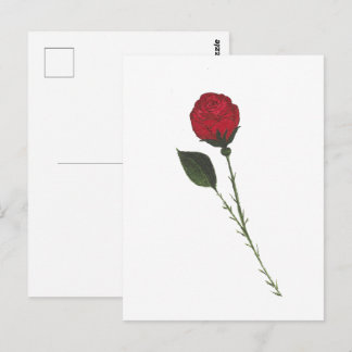 Rode Roos Ansichtkaart Briefkaart