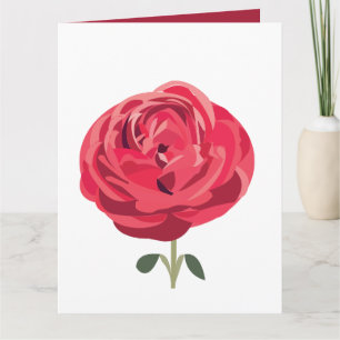 Rode Roos Bloem Bloemstuk Rode Roos Groet Kaart