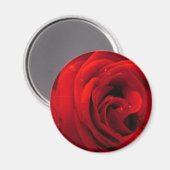 Rode roos bloem magneet (Voorkant / Achterkant)