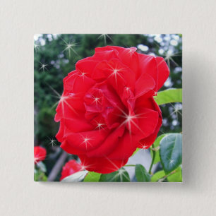 rode roos bloem met sterren vierkante button 5,1 cm