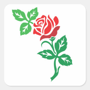 Rode Roos Bloem Ontwerp – Klassieke Bloemenschone Vierkante Sticker
