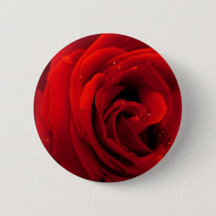 Rode roos bloem ronde button 5,7 cm