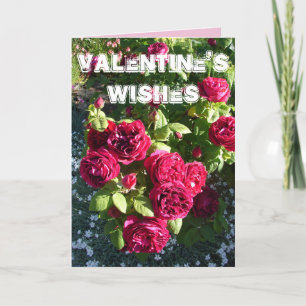 Rode Roos Bloem Tuin bloemige Valentijnsdag Kaart