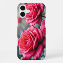 Rode Roos Bloemen Elegante Bloem