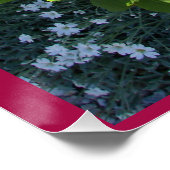 Rode  Roos Bloementuin bloementuin Rozen Poster Perfect Poster (Hoek)