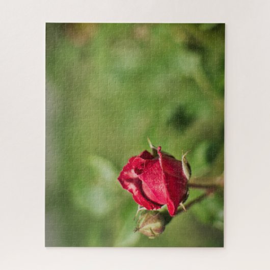 Rode roos bloesem romantische tuin legpuzzel (Verticaal)