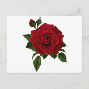 Rode roos briefkaart