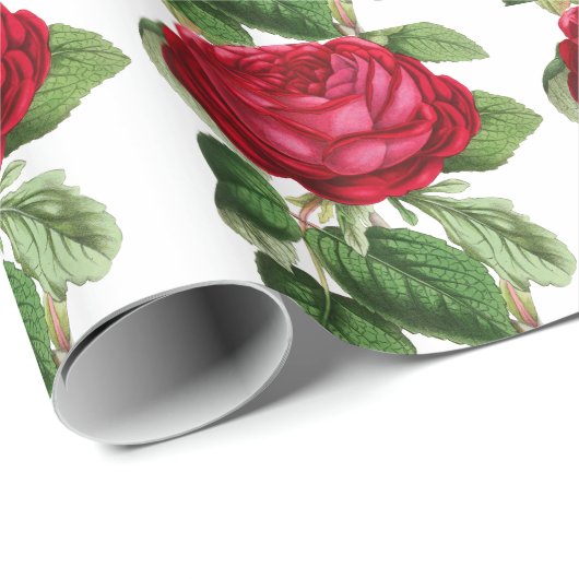 Rode roos cadeaupapier (Rol Hoek)