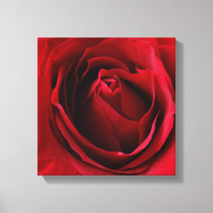 rode roos canvas afdruk
