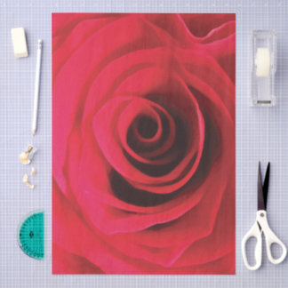 Rode roos detail, abstracte bloemendraai tissuepapier