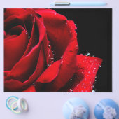 Rode roos flyer (Enkel)