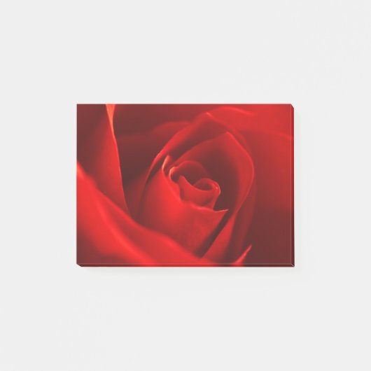 Rode Roos Foto Post-it® Notes (Voorkant)