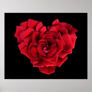Rode Roos Hart op Zwart Poster
