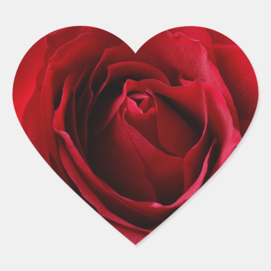 rode roos hart sticker (Voorkant)