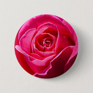 Rode roos in een tuin ronde button 5,7 cm