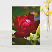 Rode Roos, kaart (Gele Bloem)