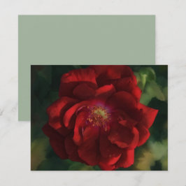 Rode Roos Kunst Bloem Bloemige Notitiekaart Set Notitiekaartje