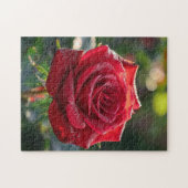 Rode roos legpuzzel (Horizontaal)