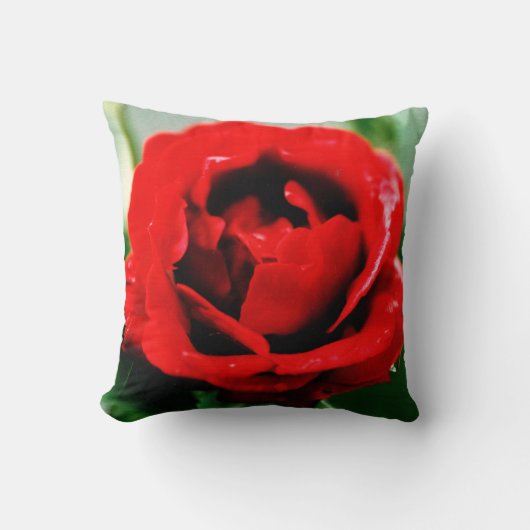 Rode Roos Liefde  Kussen (Voorkant)