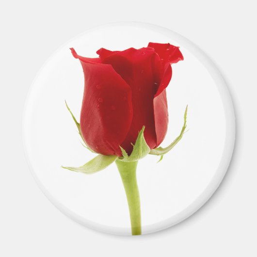 Rode roos magneet (Voorkant)