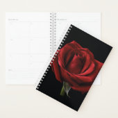 Rode roos met kussen planner (Display)