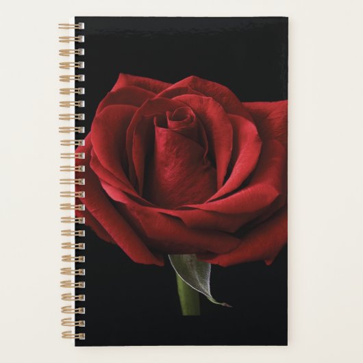 Rode roos met kussen planner (Voorkant)