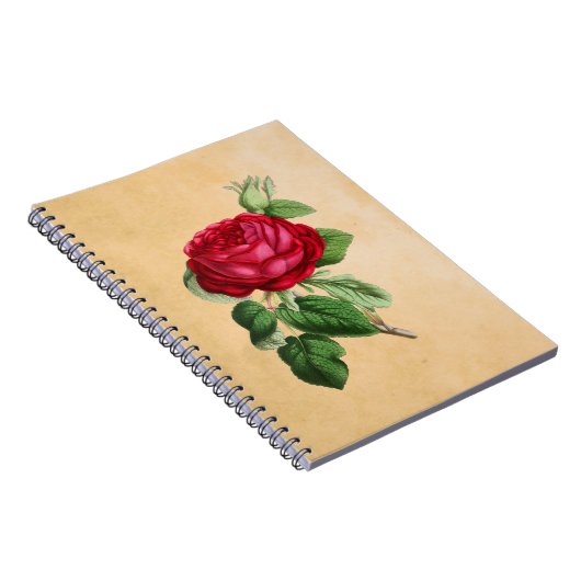 Rode Roos op Faux Tan Parchment Background Notitieboek (Rechterzijde)