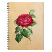 Rode Roos op Faux Tan Parchment Background Notitieboek (Voorkant)
