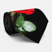 Rode roos op zwart stropdas (Opgerold)