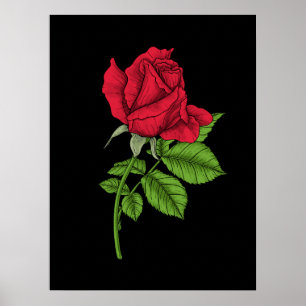 Rode roos poster