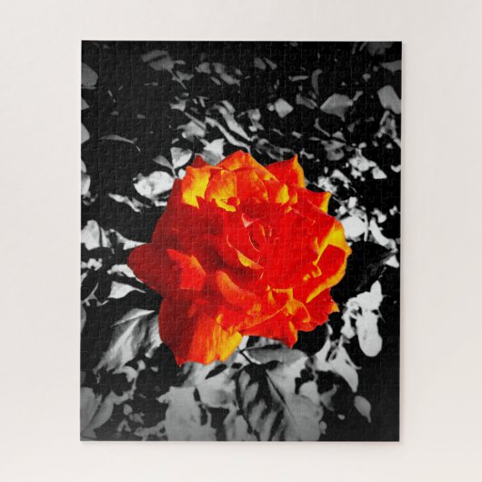 Rode roos Puzzle Legpuzzel (Verticaal)
