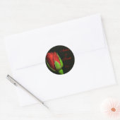 rode roos, revers roos, Adam & Sarah, Datum Ronde Sticker (Envelop)