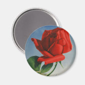  Rode Roos Roos Roos ZZwitserland Magneet (Voorkant / Achterkant)