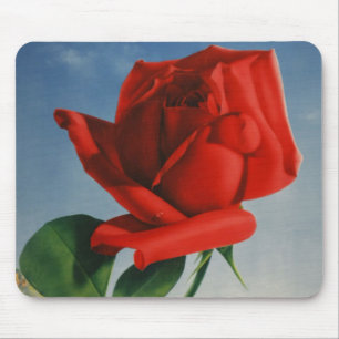  Rode Roos Roos Roos ZZwitserland Muismat
