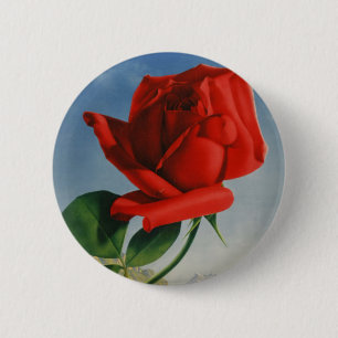 Rode Roos Roos Roos ZZwitserland Ronde Button 5,7 Cm