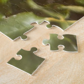 Rode Roos, San Mateo Legpuzzel (Zijkant)