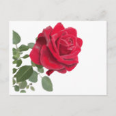 Rode roos schilderij briefkaart (Voorkant)