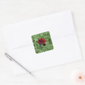 Rode Roos Sticker (Envelop)