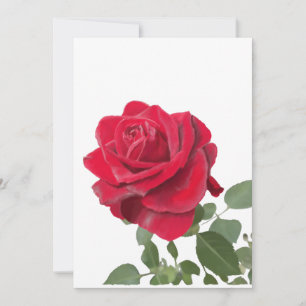 Rode roos - symbool van liefde kaart