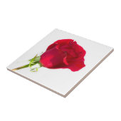 Rode roos tegeltje (Zijkant)