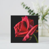 Rode Roos Tegen Zwarte Achtergrond Kaart (Staand voorkant)
