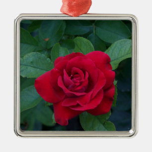 Rode Roos Van dichtbij Metalen Ornament