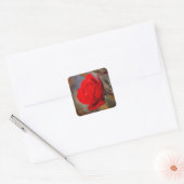 Rode Roos Vierkante Sticker (Envelop)