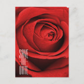 Rode Roos Wit (Elke Kleur) Glam Bewaar de Datum Aankondigingskaart (Voorkant)