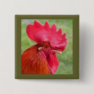 Rode Rooster Land Living Button