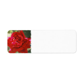 Rode Rose retouradreslabels Etiket