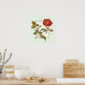  Rode Rose Shabby Elegance Poster (Keuken)